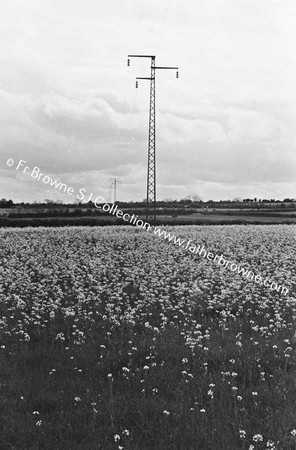 ESB PYLON